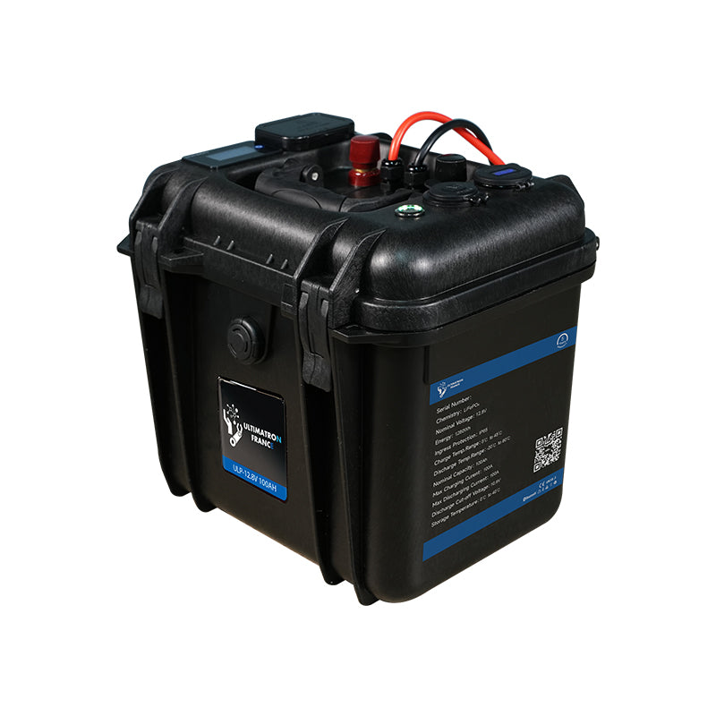 Batterie portable au lithium LiFePO4 12,8 V 100 Ah 1280 Wh avec étui (Livraison sous 45 jours)