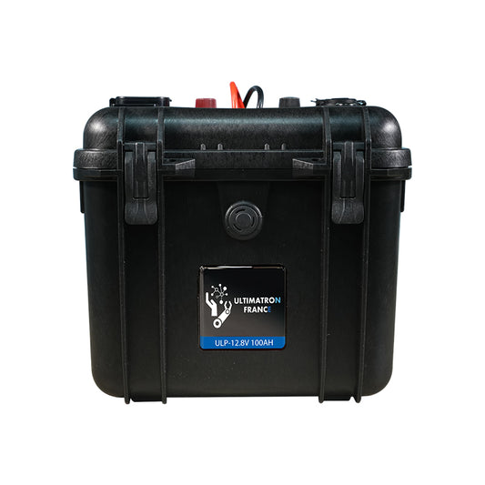 Batterie portable au lithium LiFePO4 12,8 V 100 Ah 1280 Wh avec étui (Livraison sous 45 jours)