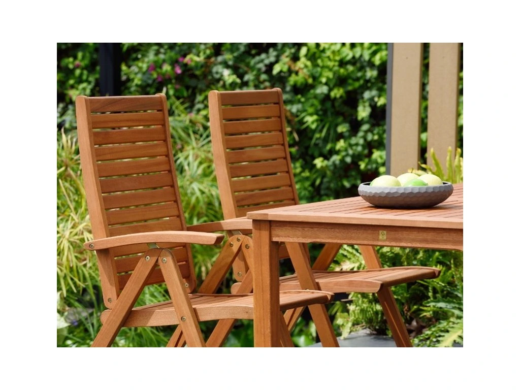 Lot 2 chaises jardin pliantes inclinables extérieur 5positions confort