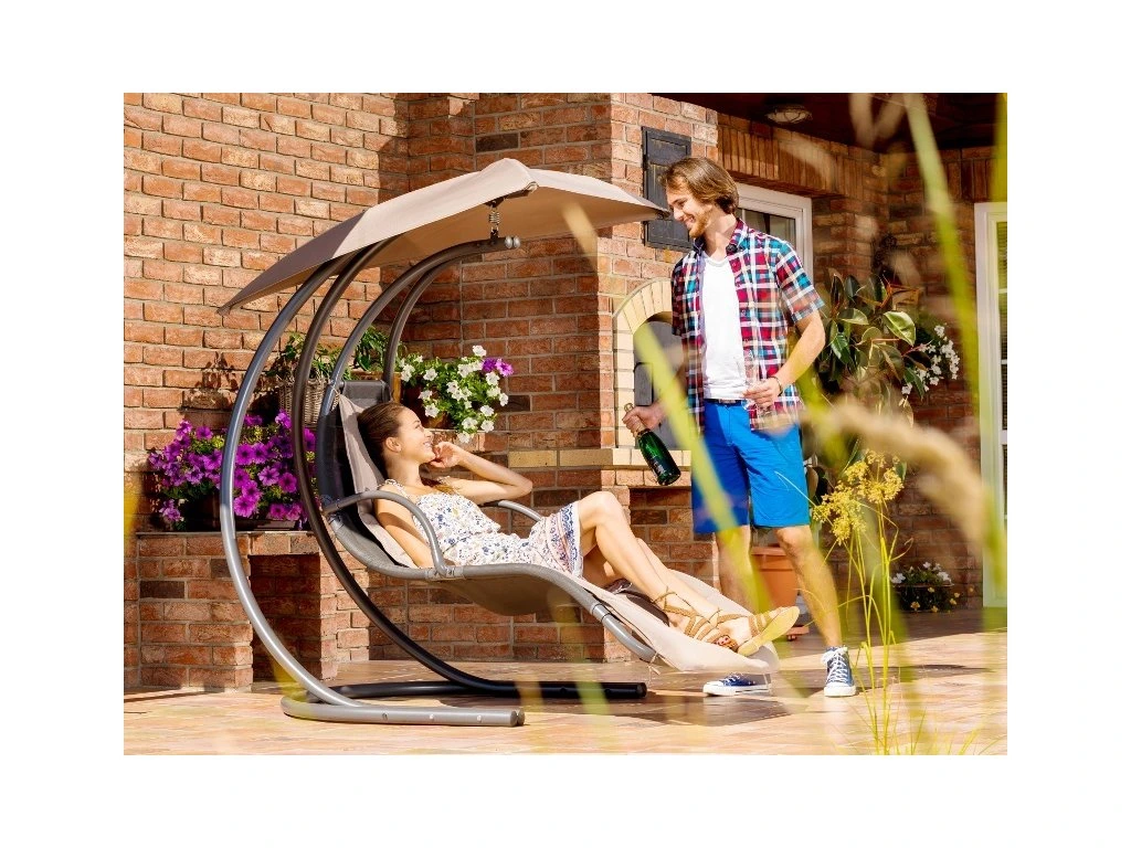Balancelle de Jardin avec Auvent et Coussins Fauteuil Suspendu Extérieur