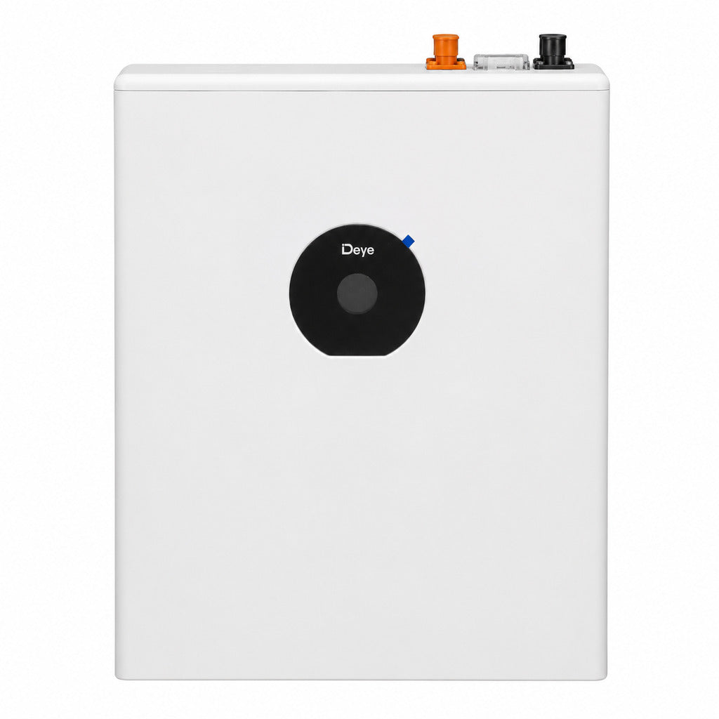 Batterie lithium Deye SE-F5 Pro-C 5,12 kWh LiFePO4 51,2 V 100 Ah