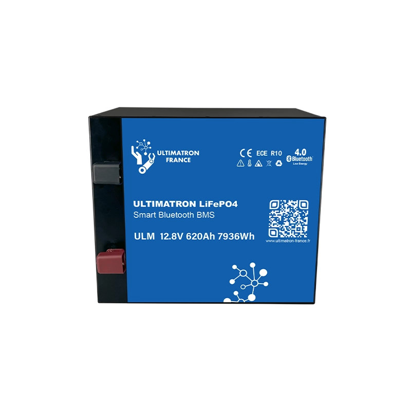 Batterie au lithium LiFePO4 12,8 V 620 Ah (7,9 kWh) avec BMS et Bluetooth