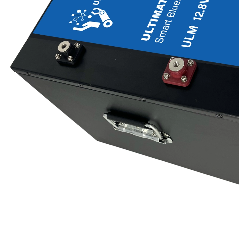 Batterie au lithium LiFePO4 12,8 V 620 Ah (7,9 kWh) avec BMS et Bluetooth