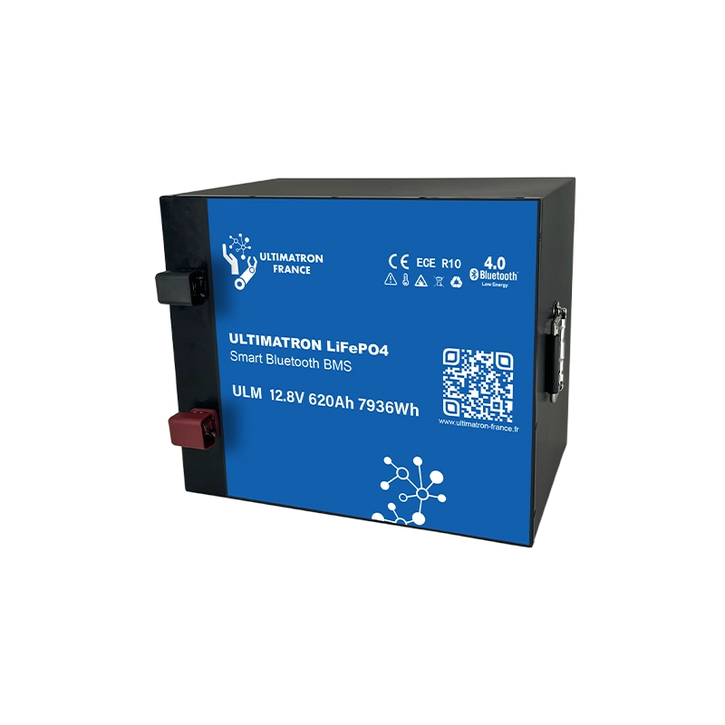 Batterie au lithium LiFePO4 12,8 V 620 Ah (7,9 kWh) avec BMS et Bluetooth
