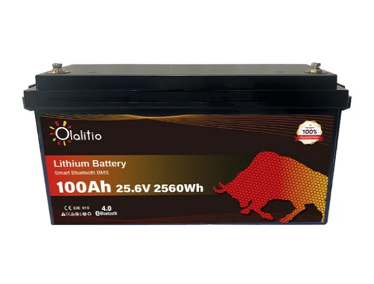 Batterie Lithium 100Ah 25.6V LiFePO4 PRO BMS +4500 Cycles
