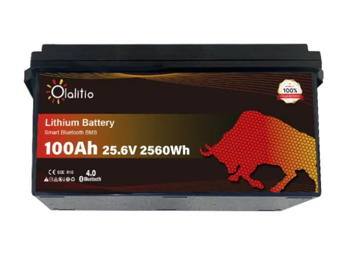 Batterie Lithium 100Ah 25.6V LiFePO4 PRO BMS +4500 Cycles